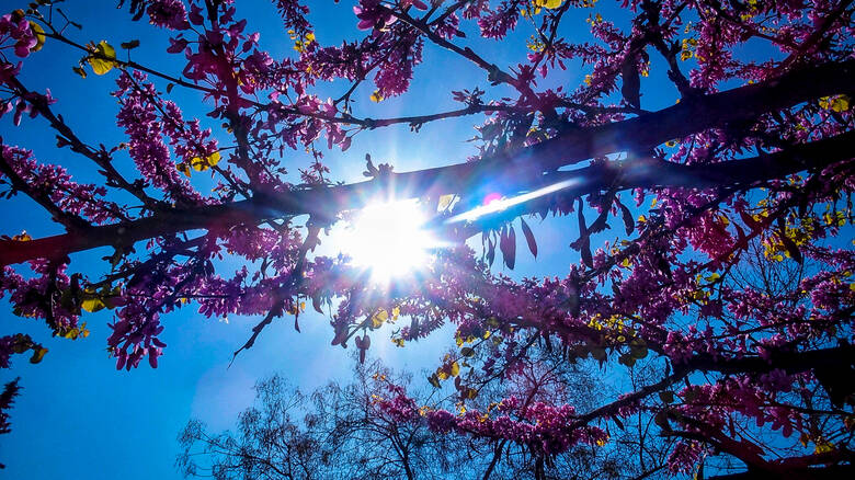 Καιρός Πάσχα: Με τι καιρό θα σουβλίσουμε τον οβελία