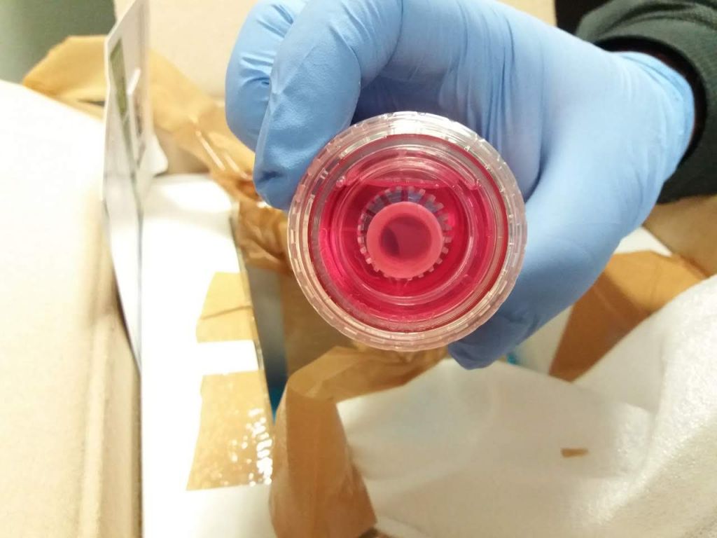 Τελωνειακοί σταμάτησαν εμπόριο οργάνων στο αεροδρόμιο