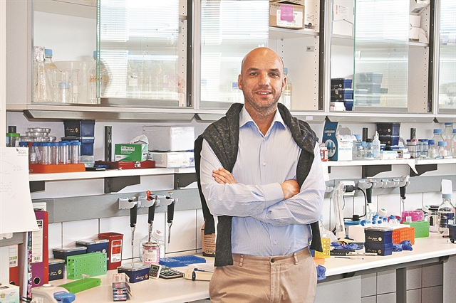 Εξερευνώντας τα μυστήρια του ανοσοποιητικού