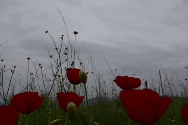 Καιρός: Αφρικανική σκόνη και βροχές τη Μ. Παρασκευή