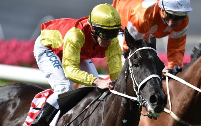 «Πέρασε» η τροπολογία για τη διοργάνωση ιπποδρομιακού στοιχήματος