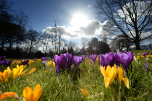 Καιρός Πάσχα: Mε τι καιρό θα σουβλίσουμε αρνί