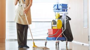 Τριετής φυλάκιση με αναστολή στην καθαρίστρια με τα 13 παιδιά