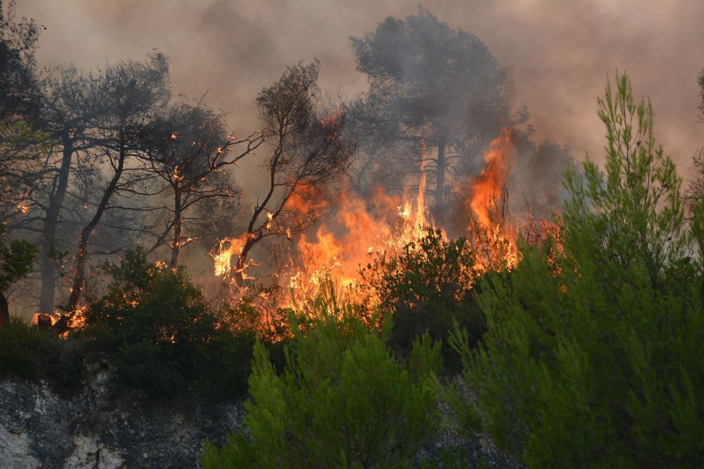 Υπό έλεγχο η μεγάλη πυρκαγιά στο δάσος της Στροφυλιάς