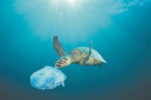 Πλαστικά τέλος το 2021