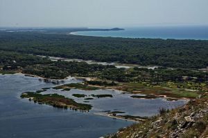Δάσος Στροφυλιάς: Το σπάνιας ομορφιάς οικοσύστημα που αποτεφρώνει η πυρκαγιά