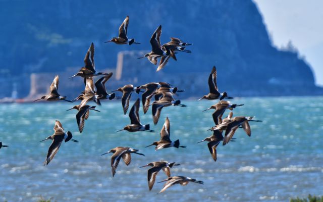 Ποιους επηρεάζει η νέα Σελήνη στον Κριό