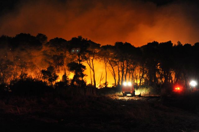 Ηλεία : Στο έλεος πυρκαγιάς το σπάνιο δάσος της Στροφυλιάς