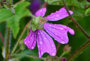Ποιοι δεν έχουν λόγο να ανησυχούν από τον ανάδρομο Δία στον Τοξότη