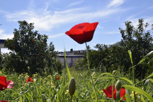 Στις 18 Απριλίου ξεκινά το πασχαλινό ωράριο των καταστημάτων