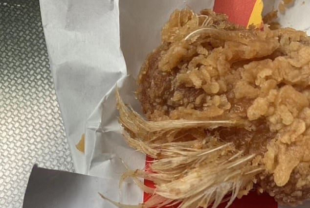 Απίστευτο: Σέρβιραν τηγανητό κοτόπουλο μαζί με τα… φτερά του