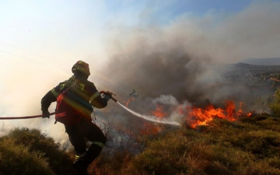 Το μπάρμπεκιου κατέληξε σε… δασική πυρκαγιά και πρόστιμο 27 εκατ. ευρώ