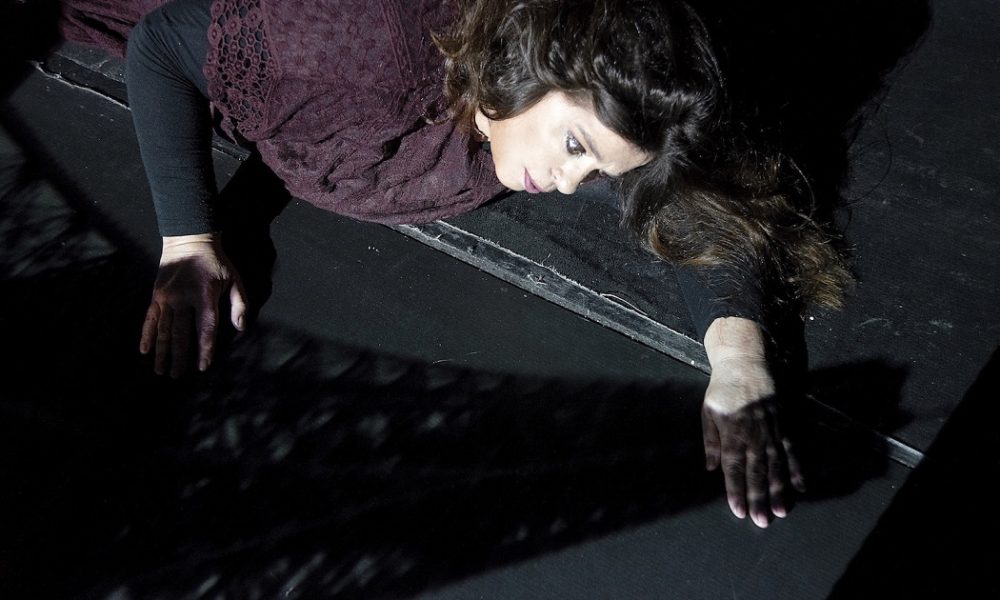 «Άνα ή το Πανέξυπνο Κορίτσι» στον Πολυχώρο Vault