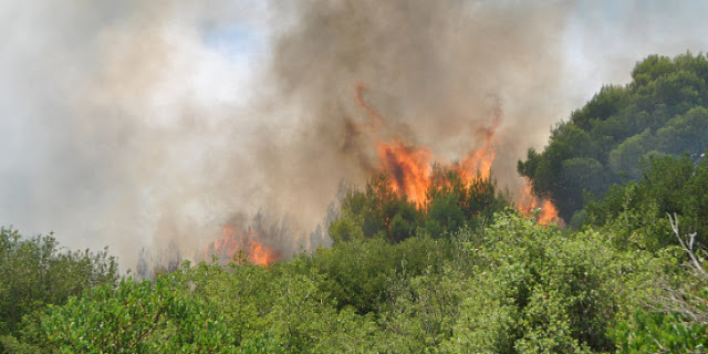Πυρκαγιά στη Μεταμόρφωση Χαλκιδικής