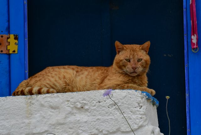 Πόσο και ποιους επηρεάζει ο Άρης από τον Καρκίνο