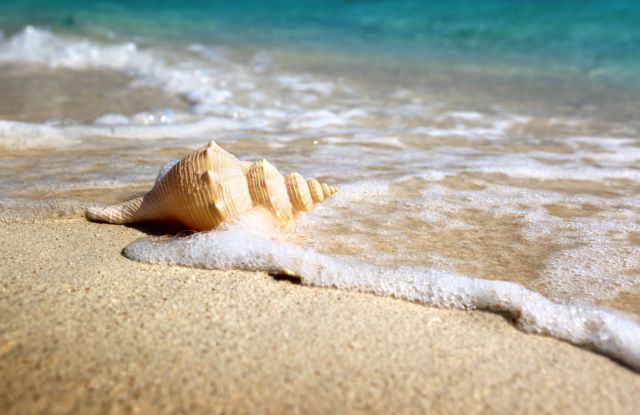 Ποιοι είναι οι λιγότερο ανασφαλείς του ζωδιακού κύκλου