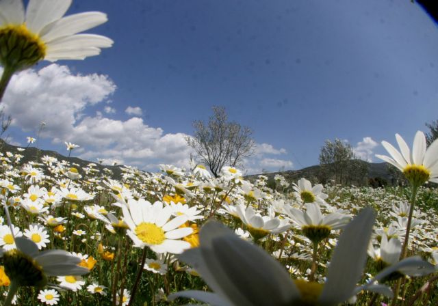 Η Πρωτομαγιά θέλει καλοπέραση