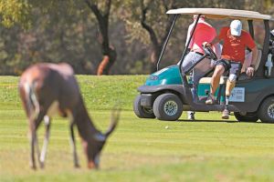 Προς διαζύγιο στην Τρίπολη