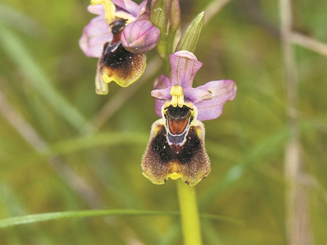 Αλλού και άλλοτε