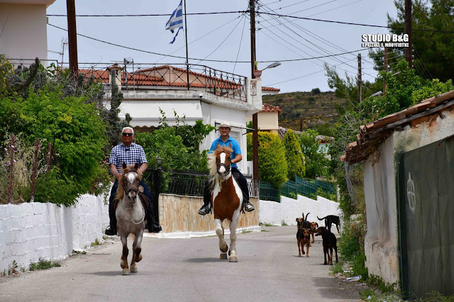 Ναύπλιο: Στην κάλπη με τα… άλογα