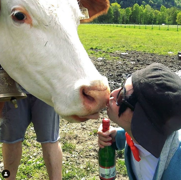 Εσείς θα φιλούσατε μια αγελάδα; – Το challenge που προκάλεσε αντιδράσεις