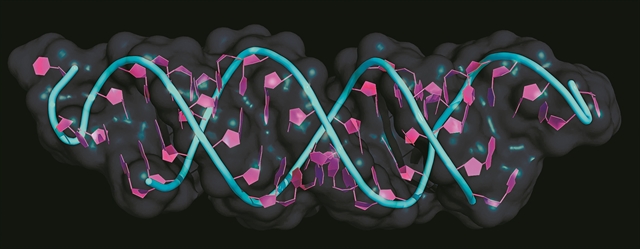 «Επαναπρογραμματίζοντας» τα κυτταρικά συστήματα