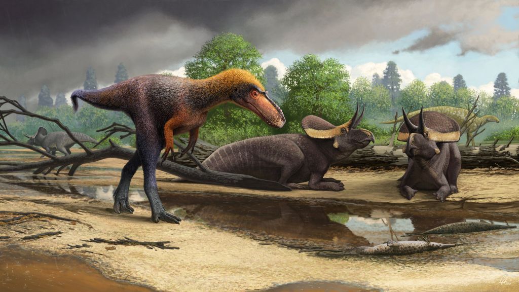 Ανακαλύφθηκε μικρομεσαίος πρόγονος του Τυραννόσαυρου