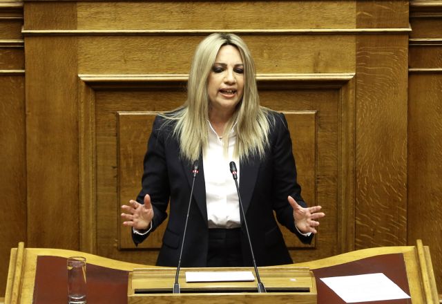 Φώφη Γεννηματά: Η χώρα χρειάζεται εθνική ομάδα στο γήπεδο