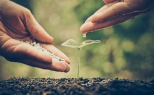 ΟΗΕ: Ενα στα οκτώ είδη φυτών και ζώων κινδυνεύει με εξαφάνιση