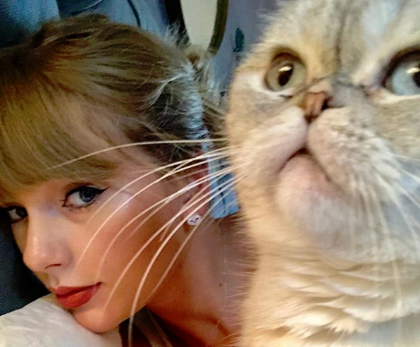 Η Τέιλορ Σουίφτ και οι γάτες της