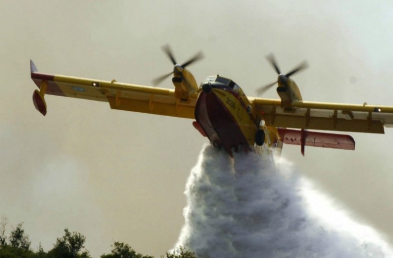 Μέγαρα: Μεγάλη φωτιά στη δασική περιοχή Μαυροβούνι