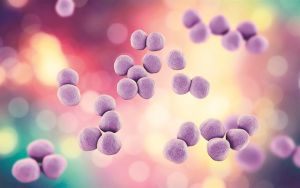 Τα μικρόβια ίσως φέρουν τα ρεκόρ!