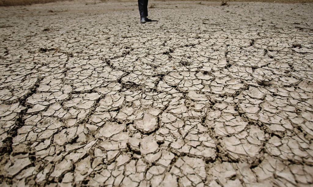 Παγκόσμια Ημέρα για την καταπολέμηση της ερημοποίησης και της ξηρασίας
