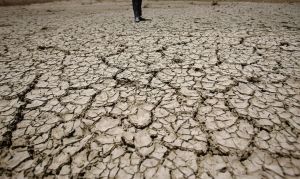 Παγκόσμια Ημέρα για την καταπολέμηση της ερημοποίησης και της ξηρασίας