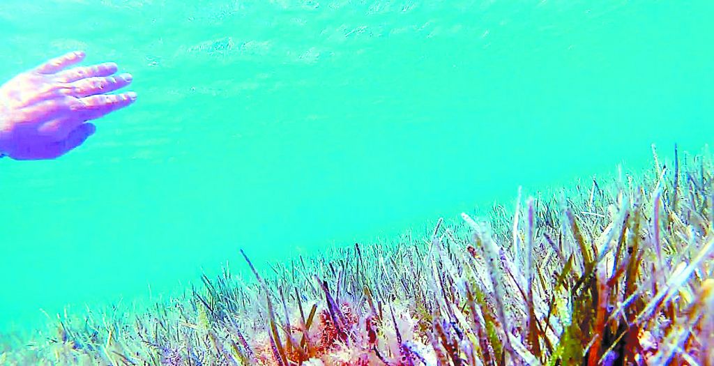 Η αθηναϊκή τέχνη μέσω Νέας Υόρκης