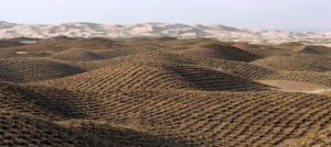 Κίνδυνος για ερημοποίηση του 1/3 των εδαφών της Ελλάδας