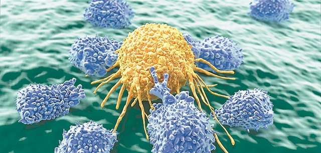 Γέφυρα κατά του καρκίνου