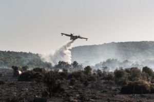 Σε ύφεση η φωτιά στον Πισσώνα της Εύβοιας