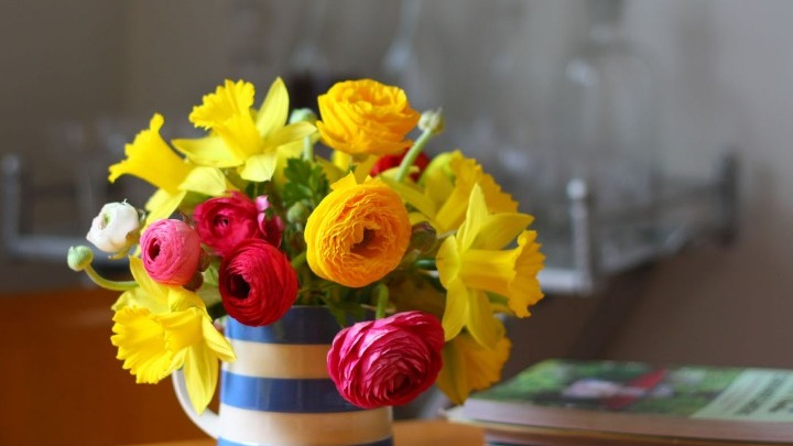 Τα λουλούδια στο σπίτι μειώνουν τα επίπεδα πόνου και στρες | tanea.gr