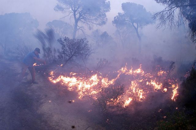 Φωτιά σε δάσος κοντά στη Βουρβουρού Χαλκιδικής