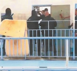 Οι συμμορίες του Κορυδαλλού