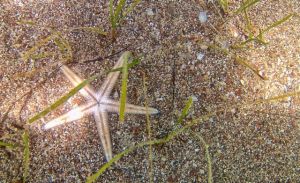 Για ποιους ζωδιακούς τύπους θα είναι τρικυμιώδης ο Ιούλιος