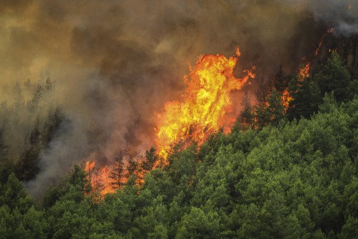 Φωτιά στον Κιθαιρώνα: Ενισχύονται οι δυνάμεις – Ισχυροί άνεμοι