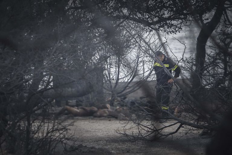 Μάτι: Συγκλονίζει ο τελευταίος επιζών από το οικόπεδο-«τάφος»