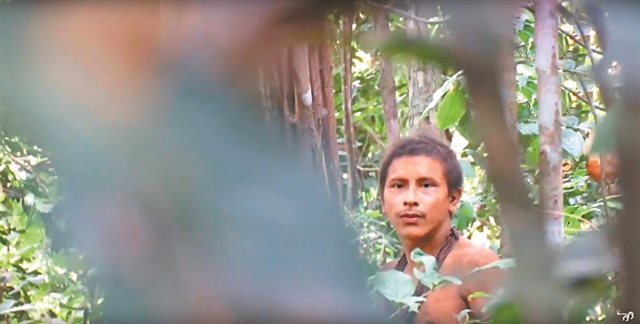 Οι τελευταίοι των Αβά δεν αφήνουν το δάσος τους