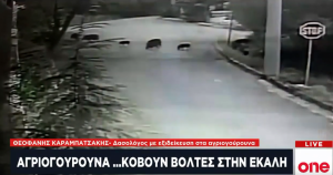 Μυστήριο με τα αγριογούρουνα στα βόρεια προάστια