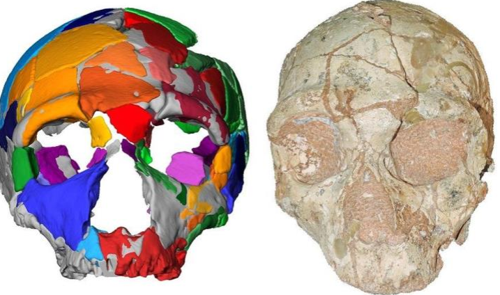 Βρέθηκε κρανίο 210.000 ετών που αποτελεί το αρχαιότερο δείγμα σύγχρονου ανθρώπου στην Ευρασία