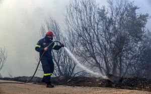 Φωτιά στην Κερατέα – Μεγάλη κινητοποίηση της Πυροσβεστικής
