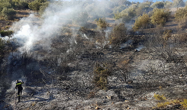 Φωτιά σε εξέλιξη στη Φυλή – Συναγερμός στην Πυροσβεστική