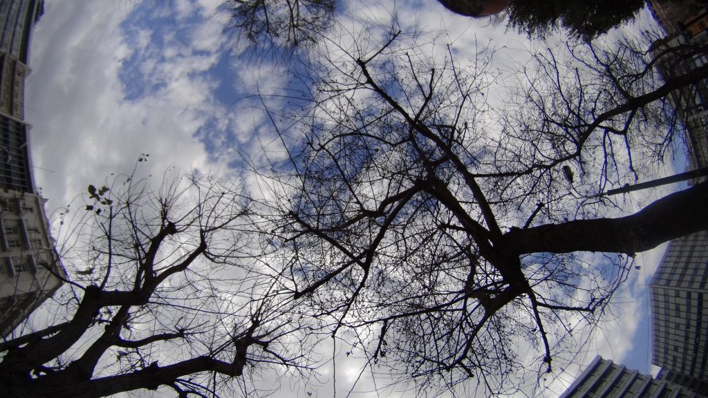 «Τρελάθηκε» ο καιρός: Ηλιοφάνεια με λίγες νεφώσεις